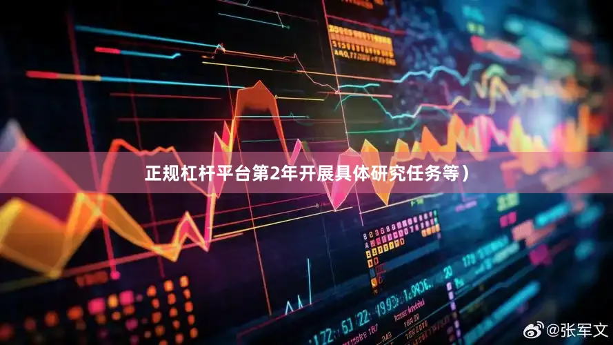 正规杠杆平台第2年开展具体研究任务等）
