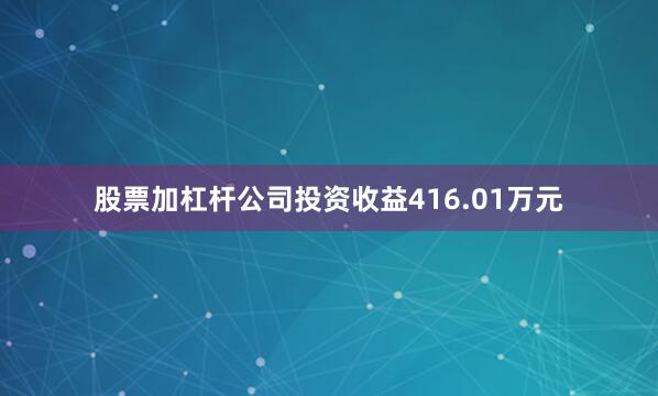 股票加杠杆公司投资收益416.01万元