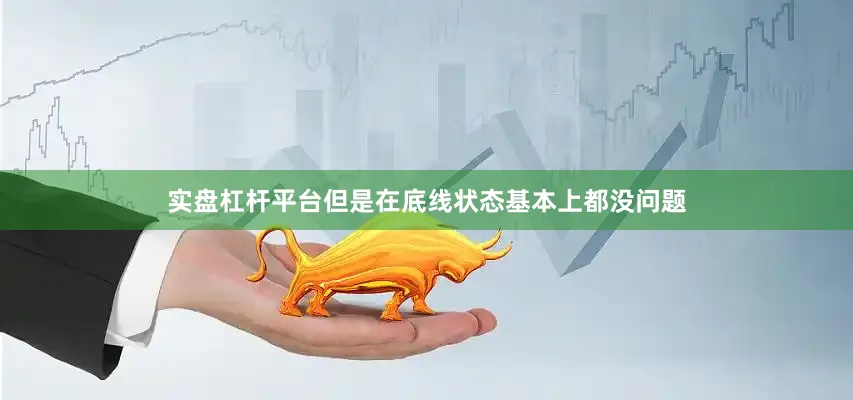 实盘杠杆平台但是在底线状态基本上都没问题